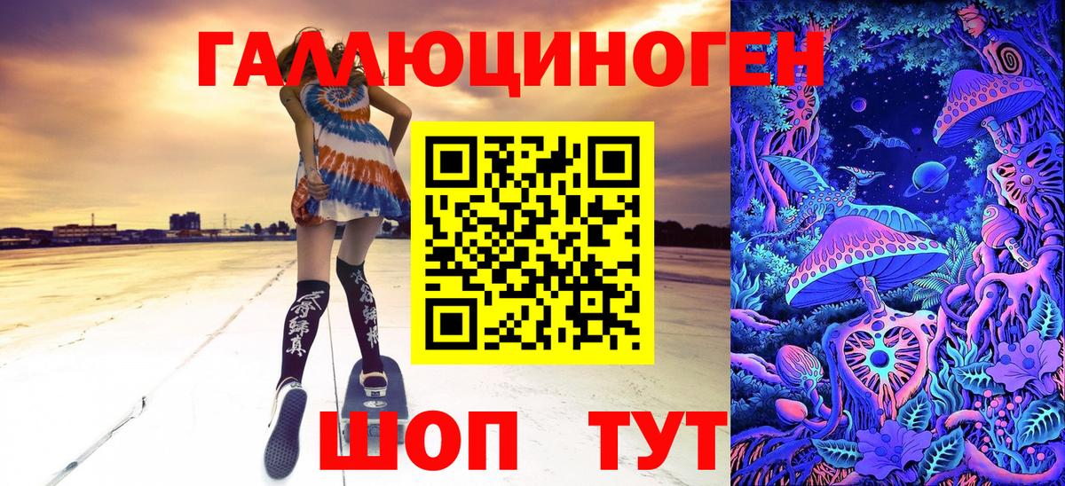 Галлюциногенные грибы Psilocybe Сланцы