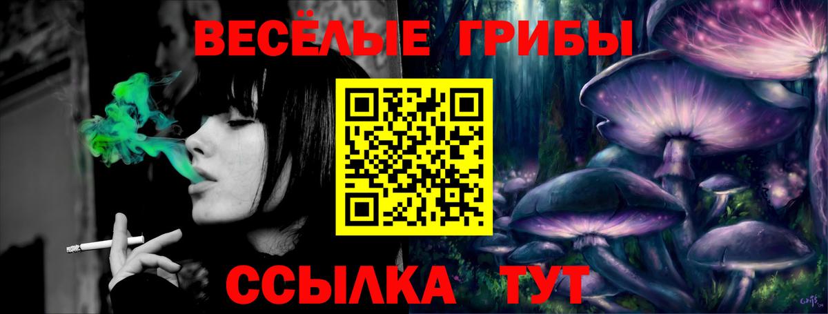 Сланцы  Псилоцибиновые грибы Psilocybine cubensis  Вход с VPN  Галлюциногенные грибы Psilocybine cubensis 
